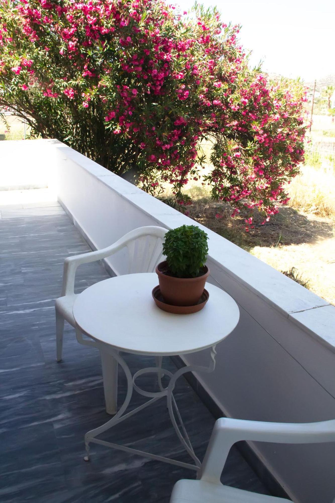 Aristidis Apartment Galissas Exterior photo